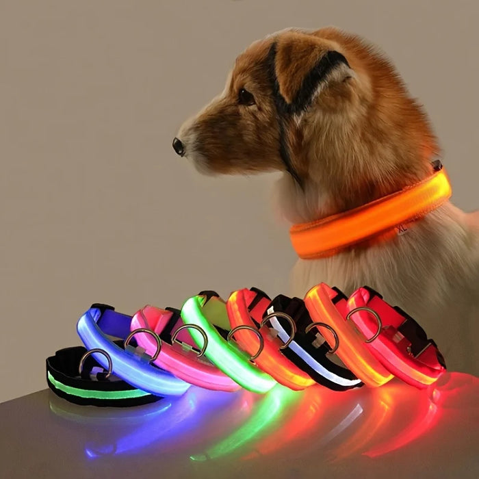 LED Glow Dog Collar Set – Night Walk Safety