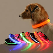 LED Glow Dog Leash & Collar for Night Walk Safety