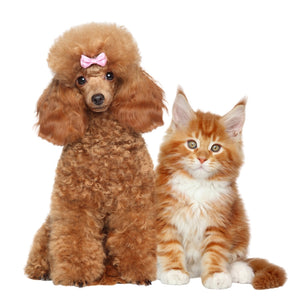 Pets