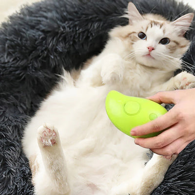 Pet Grooming Brush