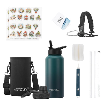 Stainless Steel Insulated Water Bottle