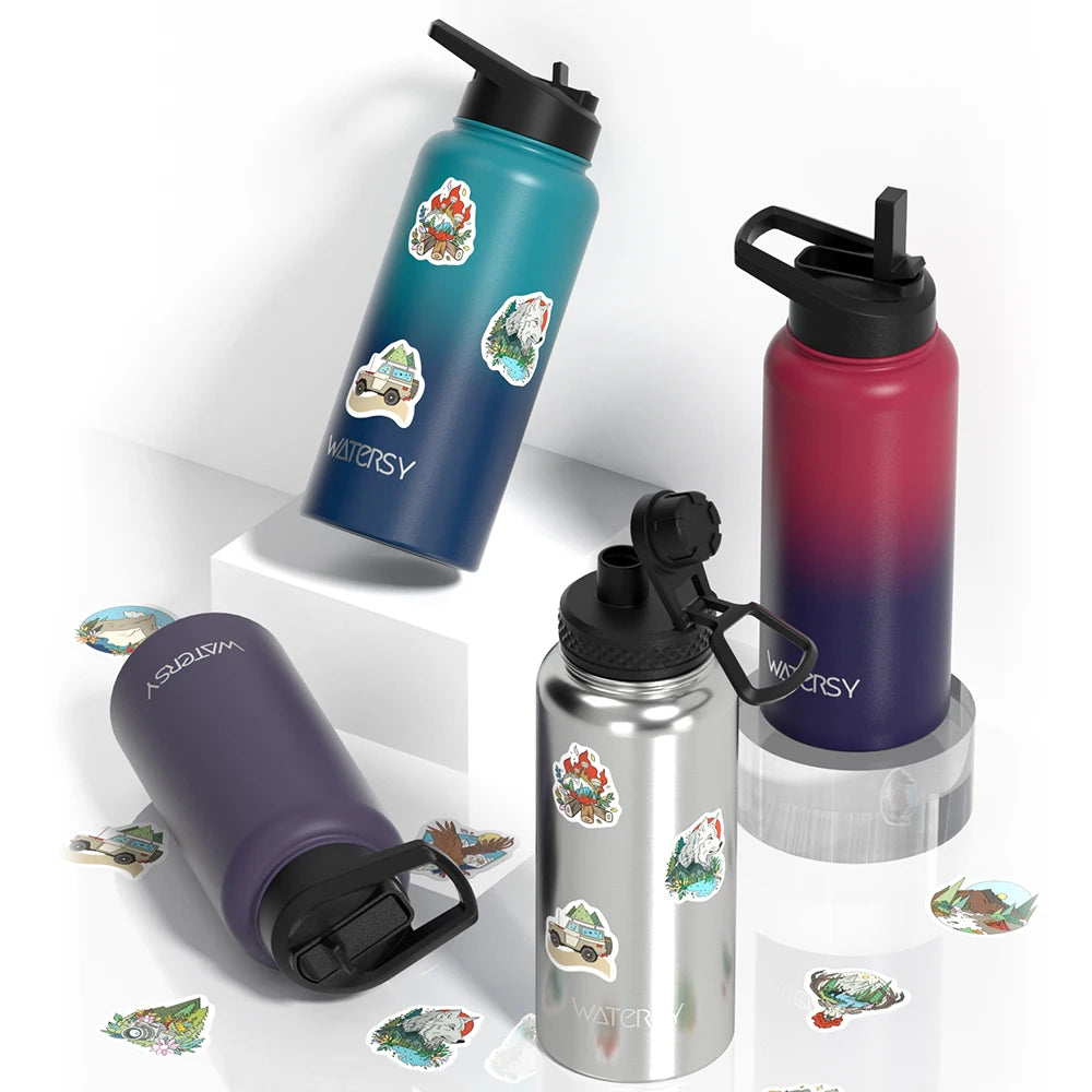 Stainless Steel Insulated Water Bottle