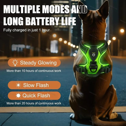 LED No-Pull Dog Harness – Reflective Light-Up Safety Vest